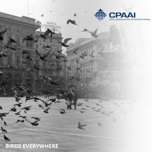 Pigeons are everywhere. They tend to flock around the Piazza Duomo. Don’t feed them…